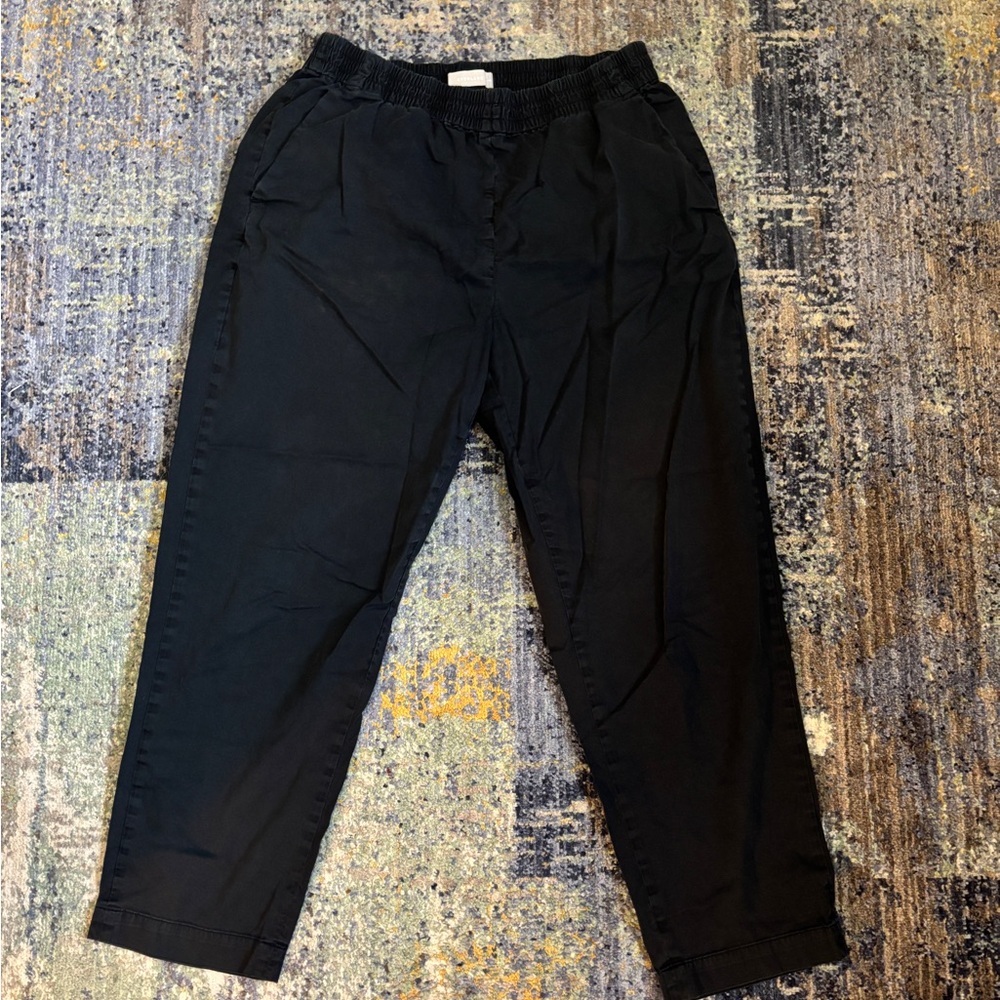 Everlane Women’s Chino with Elastic Waist